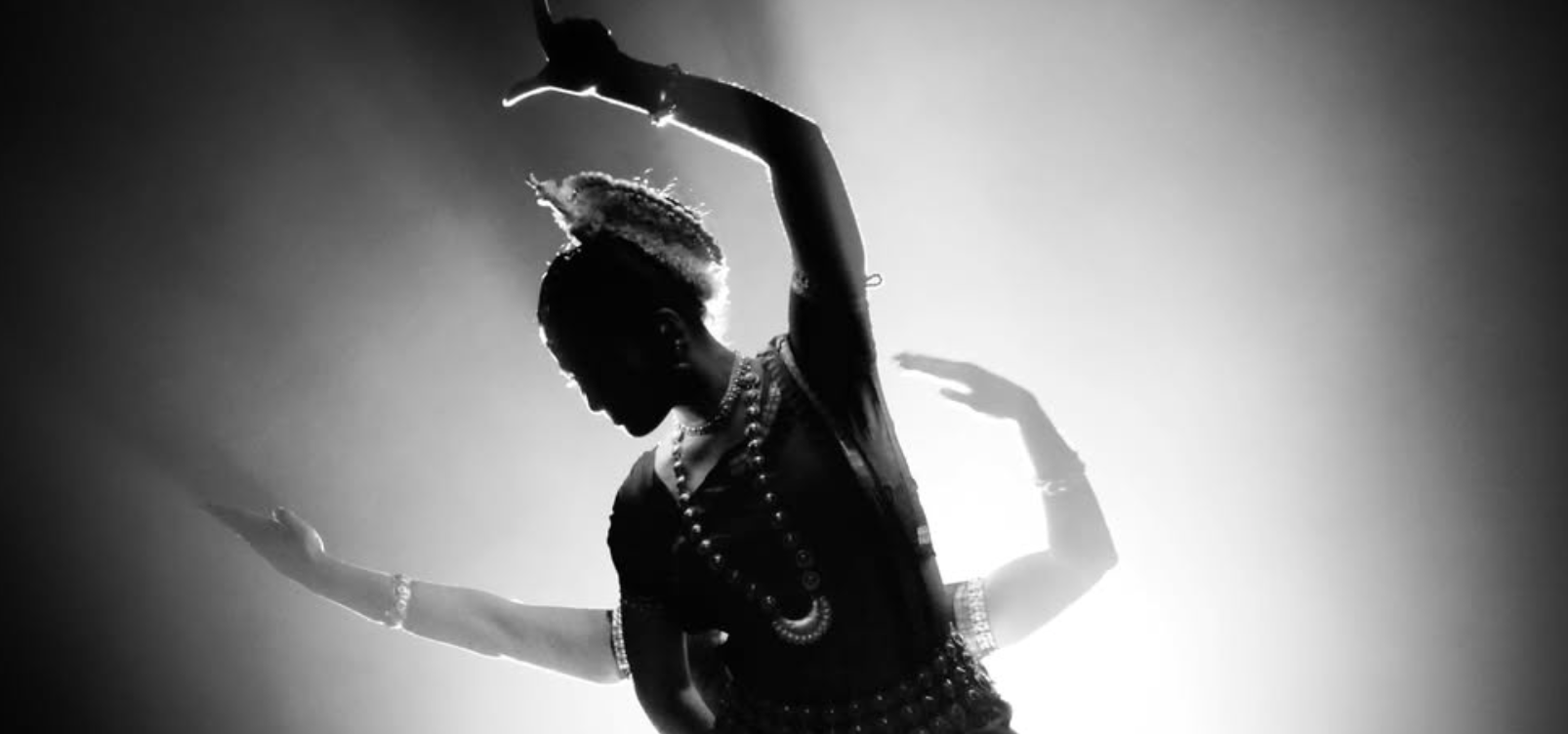 Profile Banner